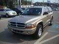 2002 Light Almond Pearl Metallic Dodge Durango SLT 4x4  photo #7