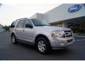 Ingot Silver Metallic 2010 Ford Expedition XLT Exterior