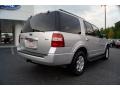 Ingot Silver Metallic - Expedition XLT Photo No. 3