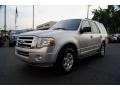 Ingot Silver Metallic - Expedition XLT Photo No. 6