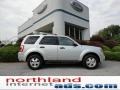 2012 Ingot Silver Metallic Ford Escape XLT  photo #1