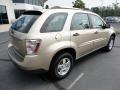 2008 Sandstone Metallic Chevrolet Equinox LS  photo #7