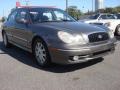 Slate Gray - Sonata GLS V6 Photo No. 7