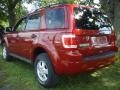 2010 Sangria Red Metallic Ford Escape XLT 4WD  photo #3