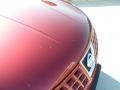 Venom Red - Rogue SL Photo No. 24