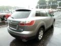 Liquid Silver Metallic - CX-9 Touring AWD Photo No. 4