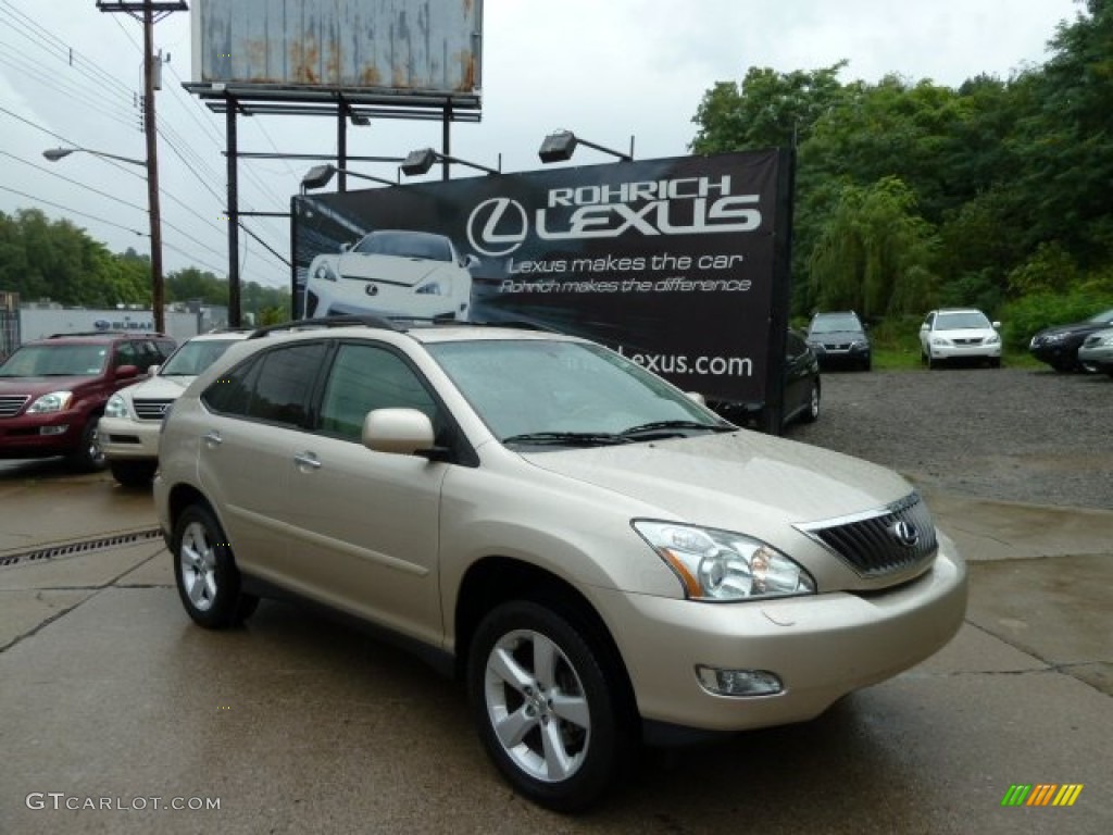 Savannah Metallic Lexus RX