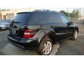 Obsidian Black Metallic - ML 350 4Matic Edition 10 Photo No. 4