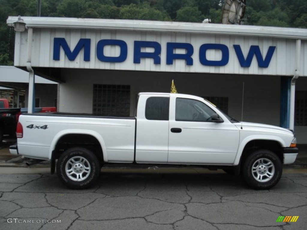 2004 Dakota Sport Club Cab 4x4 - Bright White / Dark Slate Gray photo #1