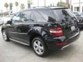 Black - ML 350 4Matic Photo No. 7