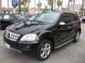Black - ML 350 4Matic Photo No. 8