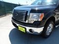 2011 Ebony Black Ford F150 Texas Edition SuperCrew  photo #10