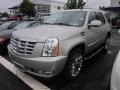 Quicksilver - Escalade AWD Photo No. 3