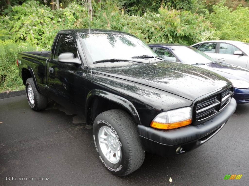 Black Dodge Dakota