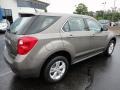 2010 Cyber Gray Metallic Chevrolet Equinox LS AWD  photo #7