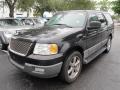 Black Clearcoat - Expedition XLT Photo No. 4
