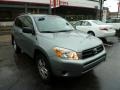 Everglade Metallic - RAV4 4WD Photo No. 6