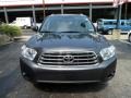 2009 Magnetic Gray Metallic Toyota Highlander Limited 4WD  photo #10