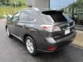 Truffle Brown Mica - RX 350 AWD Photo No. 3