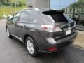 2010 Truffle Brown Mica Lexus RX 350 AWD  photo #3