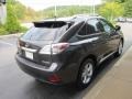 2010 Truffle Brown Mica Lexus RX 350 AWD  photo #5