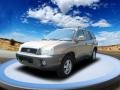 Sandstone - Santa Fe GLS AWD Photo No. 1