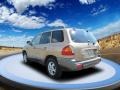 Sandstone - Santa Fe GLS AWD Photo No. 3
