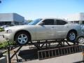 Light Sandstone Metallic - Charger SE Photo No. 1