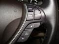 Taupe Controls Photo for 2010 Acura ZDX #53687802