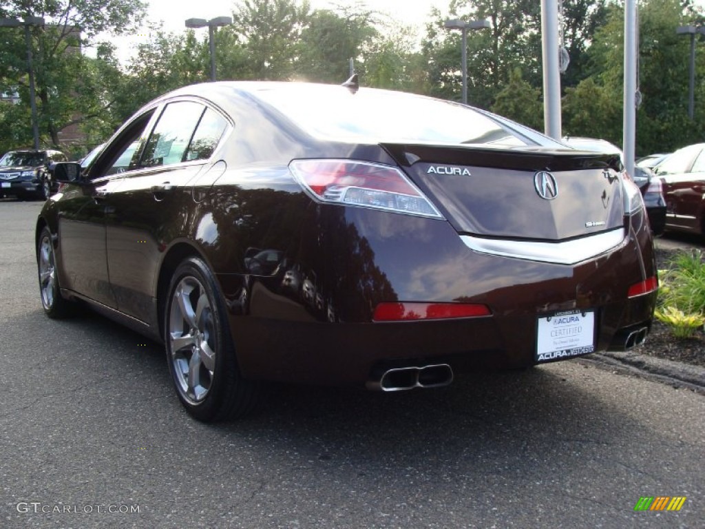 2009 TL 3.7 SH-AWD - Mayan Bronze Metallic / Ebony photo #6