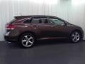 Sunset Bronze Mica - Venza V6 AWD Photo No. 17