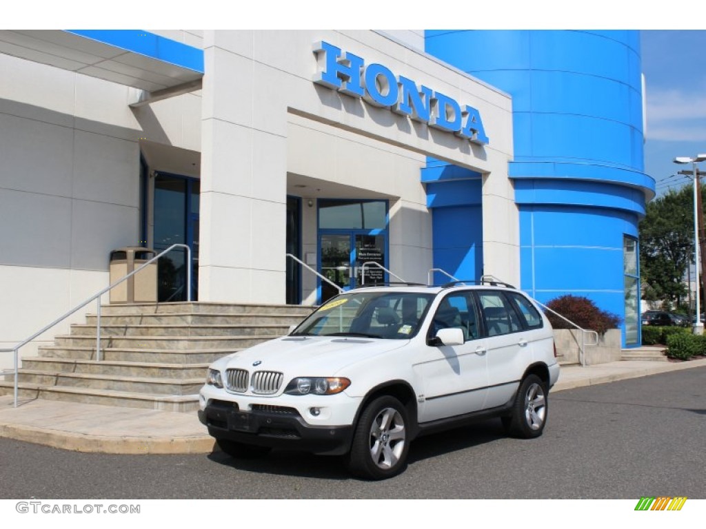 2006 X5 4.4i - Alpine White / Grey photo #1