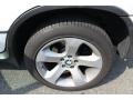 2006 Alpine White BMW X5 4.4i  photo #15