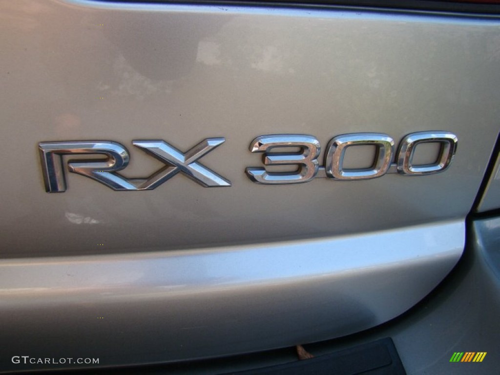 2000 RX 300 - Millennium Silver Metallic / Ivory photo #45