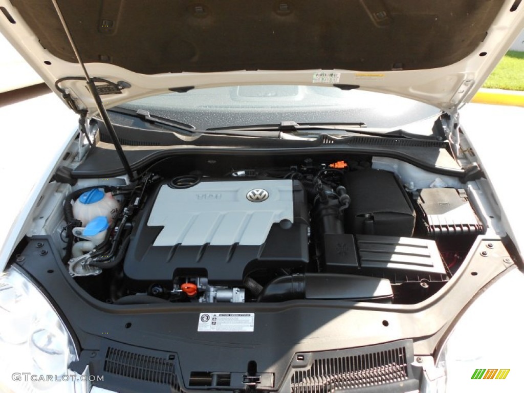 2009 Volkswagen Jetta TDI Sedan 2.0 Liter TDI  DOHC 16-Valve Turbo-Diesel 4 Cylinder Engine Photo #53698290