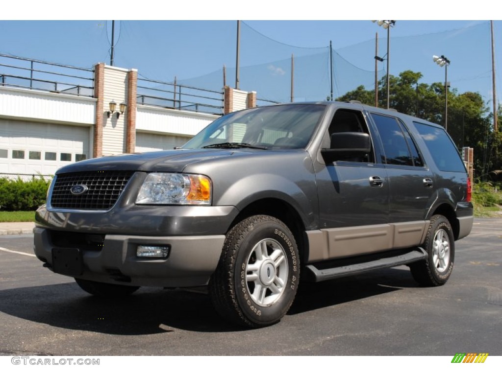 2003 Expedition XLT 4x4 - Dark Shadow Grey Metallic / Flint Grey photo #1