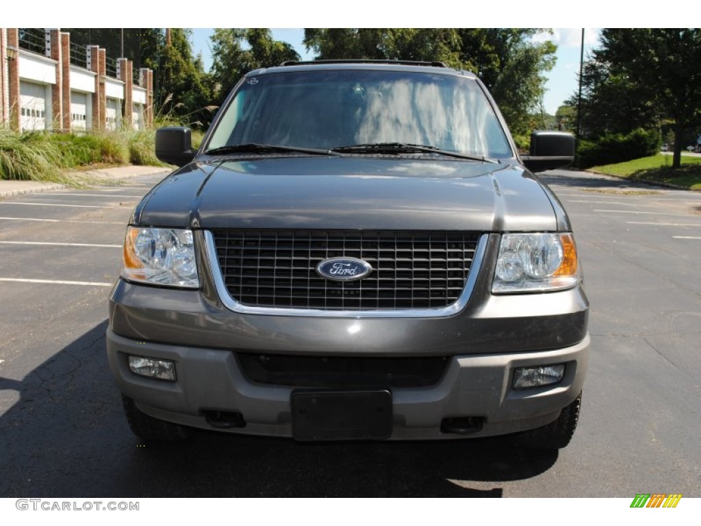 2003 Expedition XLT 4x4 - Dark Shadow Grey Metallic / Flint Grey photo #2
