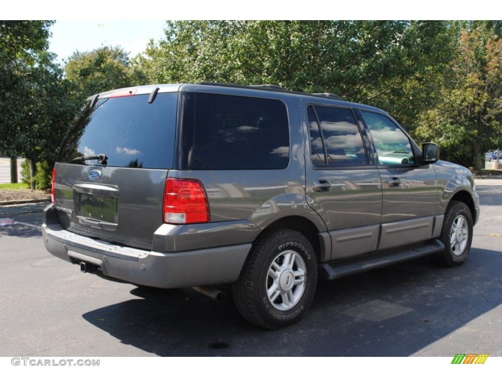 2003 Expedition XLT 4x4 - Dark Shadow Grey Metallic / Flint Grey photo #6