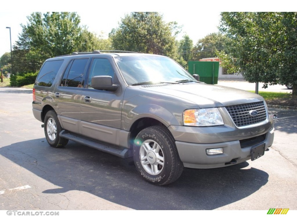 2003 Expedition XLT 4x4 - Dark Shadow Grey Metallic / Flint Grey photo #7