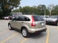 Borrego Beige Metallic - CR-V EX 4WD Photo No. 2