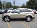 Borrego Beige Metallic - CR-V EX 4WD Photo No. 23