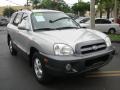 Pewter - Santa Fe GLS Photo No. 1