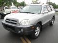 Pewter - Santa Fe GLS Photo No. 5