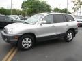 Pewter - Santa Fe GLS Photo No. 6