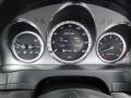 Black Gauges Photo for 2010 Mercedes-Benz C #53718576