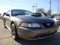 2001 Mineral Grey Metallic Ford Mustang GT Coupe  photo #1