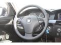 Black Steering Wheel Photo for 2010 BMW 5 Series #53721255