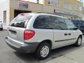 Bright Silver Metallic - Caravan SE Photo No. 2