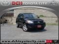 2009 Magnetic Gray Mica Toyota RAV4 4WD  photo #1