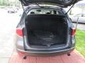 Carbon Bronze Pearl - RDX  Photo No. 23